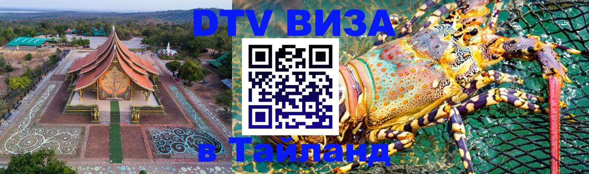 Сколько стоит DTV виза — актуальные цены, оформление даже без документов - Новочебоксарск  05.10.2025 